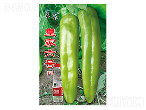 �ʼ���̖F1-�����N��-��Դ�r(n��ng)�I(y��)