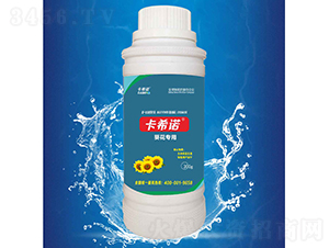 葵花專用-卡希諾