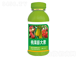 �ҹ������-��Դ����