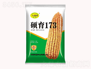 �T��173��4500����-���׷N��-�̵��N�I(y��)