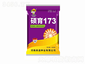 碩育173【4300粒】-玉米種子-商道種業(yè)