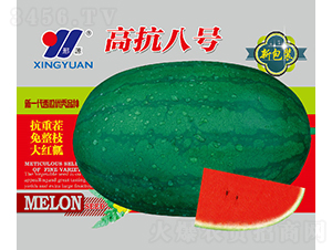 �߿�8̖(h��o)-���ϷN��-��Դ�r(n��ng)�I(y��)