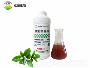 �͏N�l(f��)�̈́�-�|������