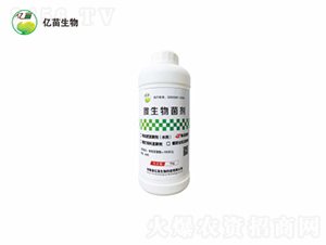 ��������-�|������