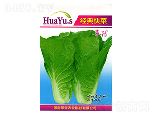 ��(j��ng)����-�ײ˷N��-��Դ�r(n��ng)�I(y��)