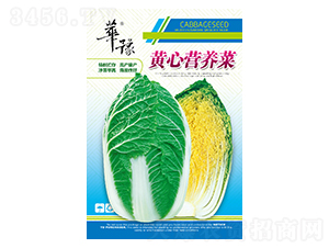 �S�ĠI�B(y��ng)��-�ײ˷N��-��Դ�r(n��ng)�I(y��)