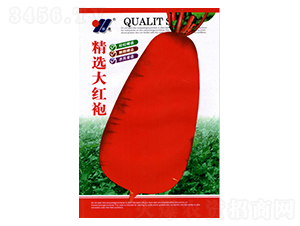 ���x��t��-���}���N��-��Դ�r(n��ng)�I(y��)