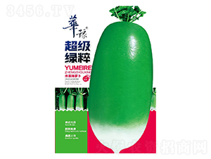 �����G��-���}���N��-��Դ�r(n��ng)�I(y��)