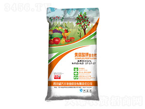 黃腐酸鉀復(fù)合肥17-17-17-盛豐磷化工