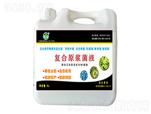 5L��(f��)��ԭ�{��Һ-�Ɲ�