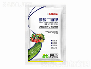 ��������-��˹����