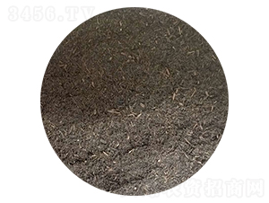 �嶼�۶����ЙC(j��)��-ʢ혈@