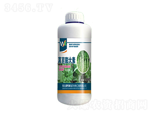 萵苣膨大素-沃可豐