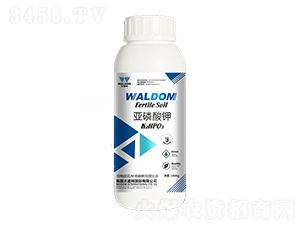 �������-�ֵ�ķ