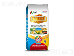 �������͓������-������56-�󻯷ʘI(y��)