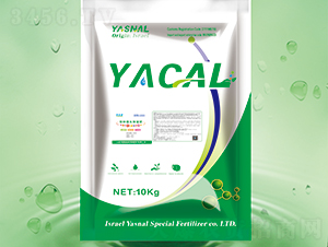 �طN΢�������-����-��ʩ�{