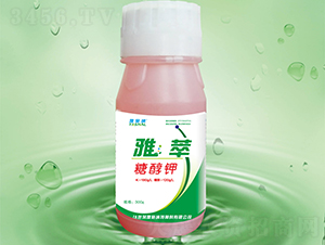 �Ǵ��-����-��ʩ�{