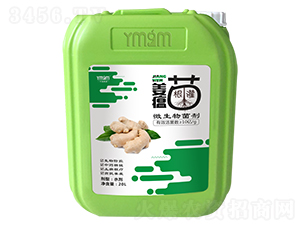 ��������΢�������-�~������