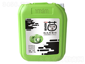 ߀��ϴ����΢�������-�~������