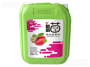 ��������΢�������-�~������