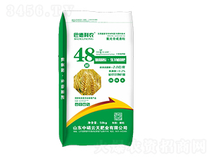 �����ᡤ�������-��������