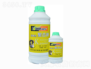 �ۺ��-������