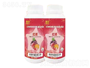 ����̼��أ��n����ɫ����-�t�T-�ƴ�����