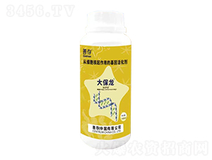 ����-�ƴ�����