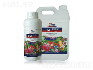 ̼ø����Ԫ�����w��-����z-�������r(n��ng)