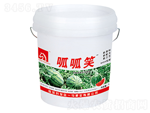 8424���ό��÷�-����Ц-һ�R�ʘI(y��)