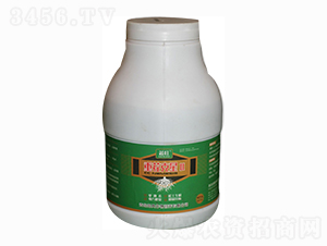 �ز����-���