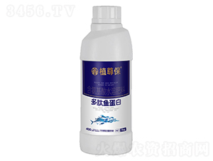 �����~����-ֲ��-���ֿ�