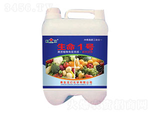 ����1̖-����-����