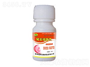 ��������`-�ɰ�����