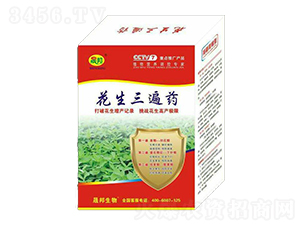 ��������ˎ-�ɰ�����