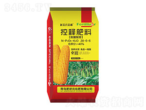 �pĤ�p�ؿ�ጷ���28-6-6-�ʠ�Ԫ