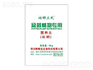 ����ֲ��àI(y��ng)�B(y��ng)��-�ཌ�����