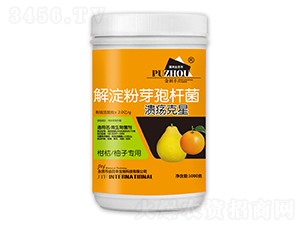 �����ѿ�ߗU��-��������-�����S