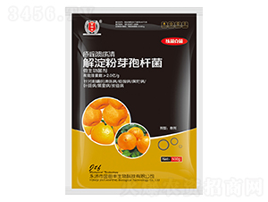 �����ѿ�ߗU��-���蝢����-�����S