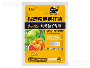 �����ѿ�ߗU��-�̽����ӌ���-�����S