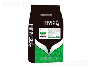 �����ޏ�(f��)����-������