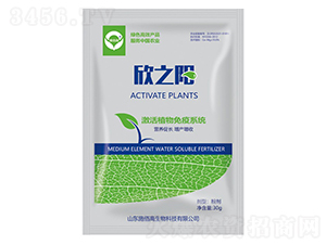 ������-��֮�-ʩ�۸�