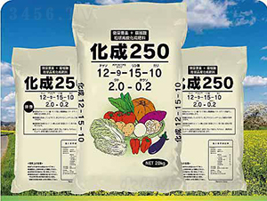 �߲ˌ��Ï�(f��)�����12-15-10-����ʘI(y��)