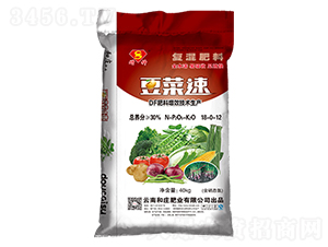 ��(f��)�����18-0-12-������-���f�ʘI(y��)