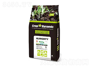 �S����⛹��ܷ�-��(r��n)��-����(r��n)�f(w��n)�S