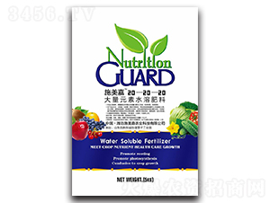 ����Ԫ��ˮ�ܷ���20-20-20-ʩ����