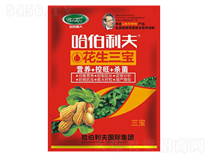 ��������-��������