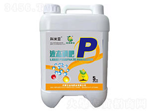 Һ�B(t��i)�׷�-���ׁ�-��طʘI(y��)