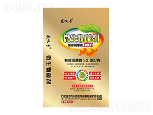 ΢�������-���r(n��ng)�d̩