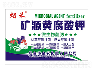 �VԴ�S�����΢�������-����-���r����